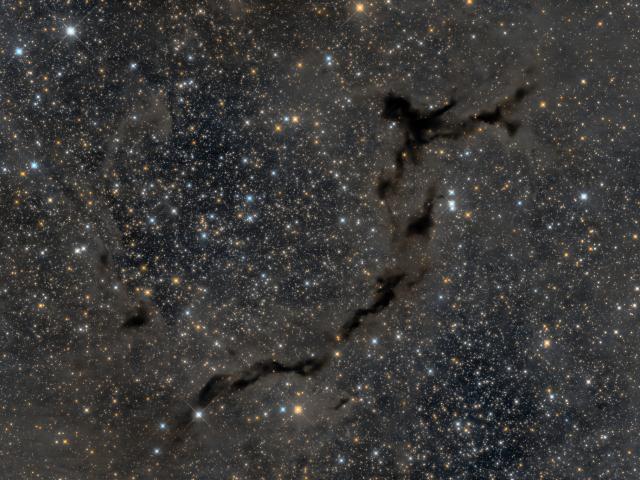 The Dark Seahorse of Cepheus