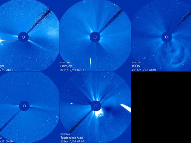 Five Bright Comets from SOHO