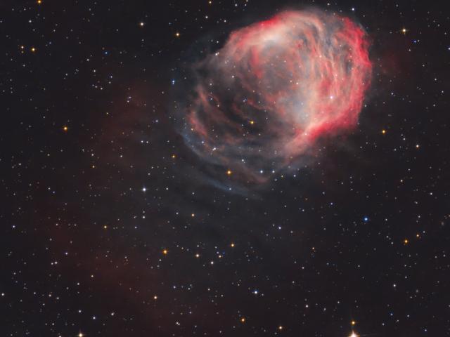 The Medusa Nebula
