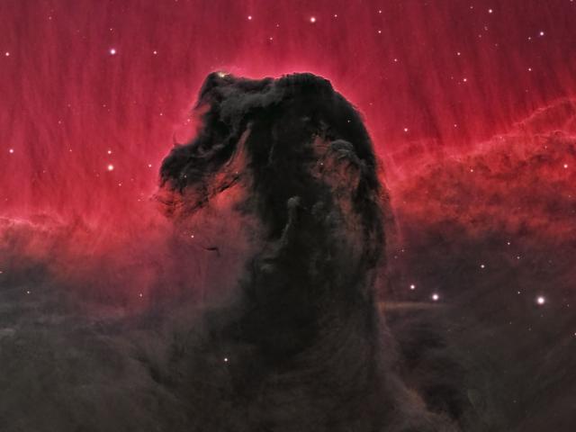The Horsehead Nebula