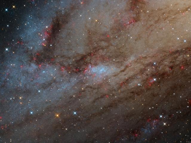 NGC 206 and the Star Clouds of Andromeda