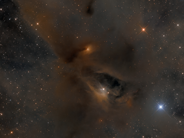 Young Stars, Dark Nebulae