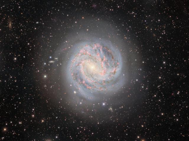 M83: The Southern Pinwheel