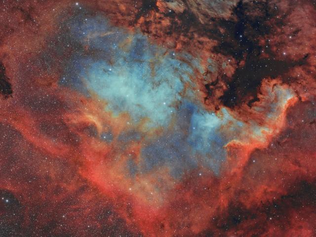 The North America Nebula