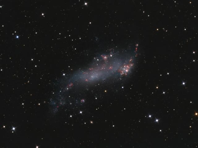 IC 2574: Coddington’s Nebula
