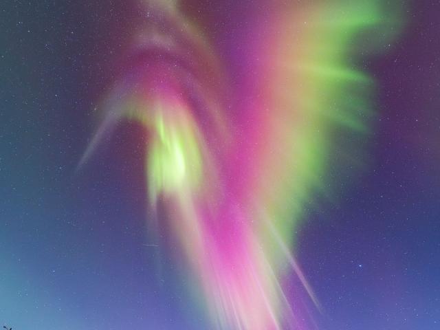 Auroral Hummingbird over Norway
