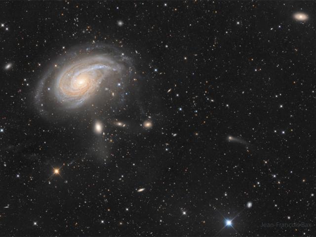 NGC 772: The Fiddlehead Galaxy