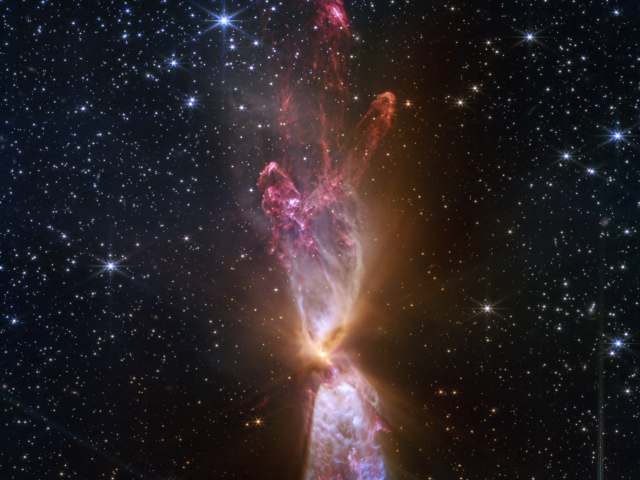 The Protostars within Lynds 483