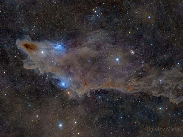 LDN 1235: The Shark Nebula