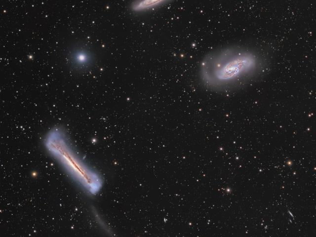 The Leo Trio