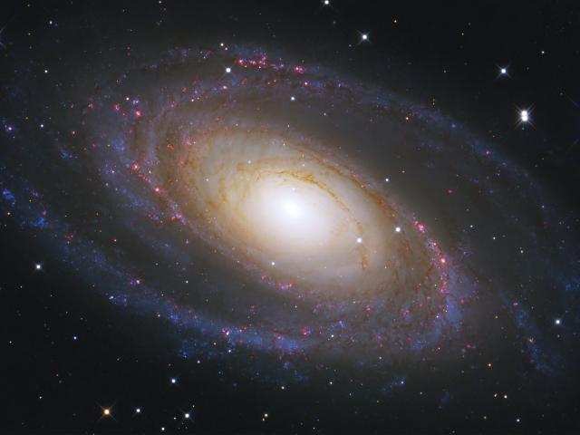 Messier 81
