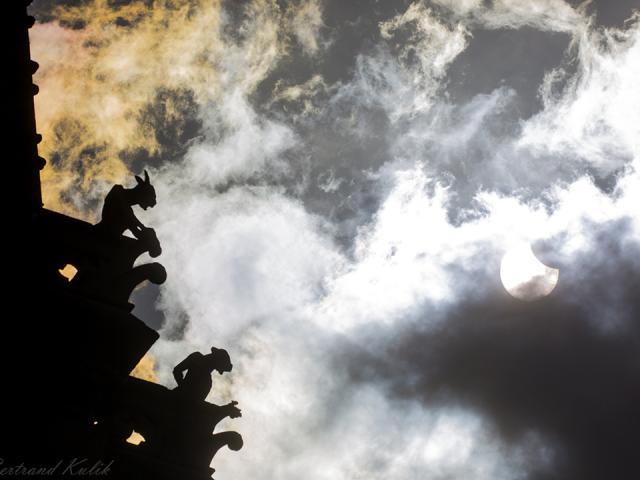 A Gargoyles Eclipse