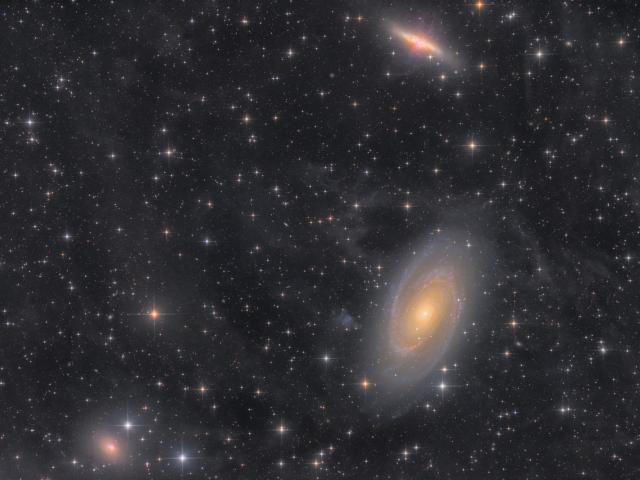 38 Hours in the M81 Group