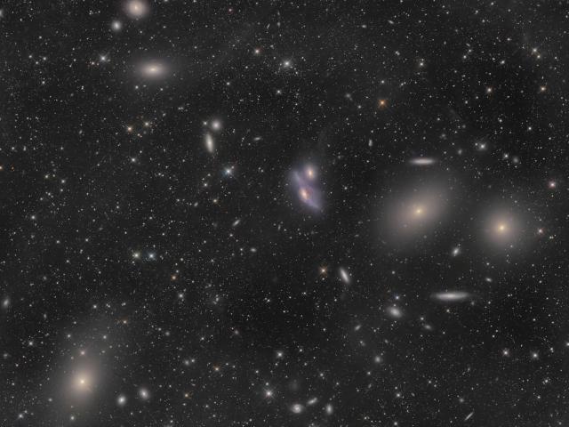 Virgo Cluster Galaxies