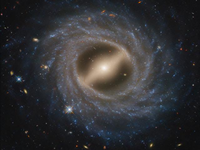 Barred Spiral Galaxy NGC 5335