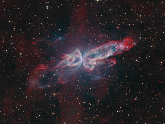 NGC 6302: The Butterfly Nebula