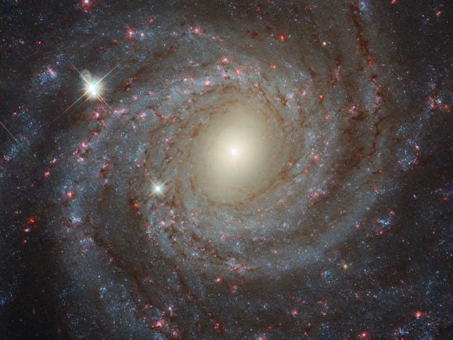 Facing NGC 3344