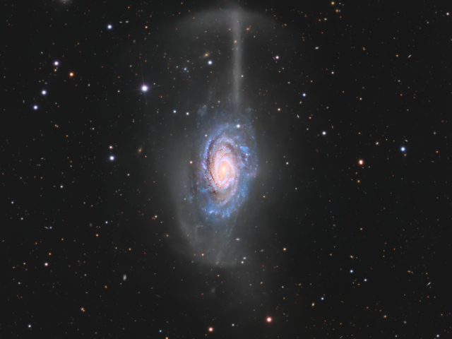 NGC 4651: The Umbrella Galaxy