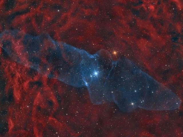 Ou4: The Giant Squid Nebula