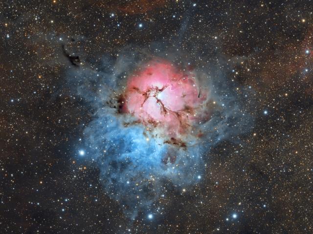 A Beautiful Trifid