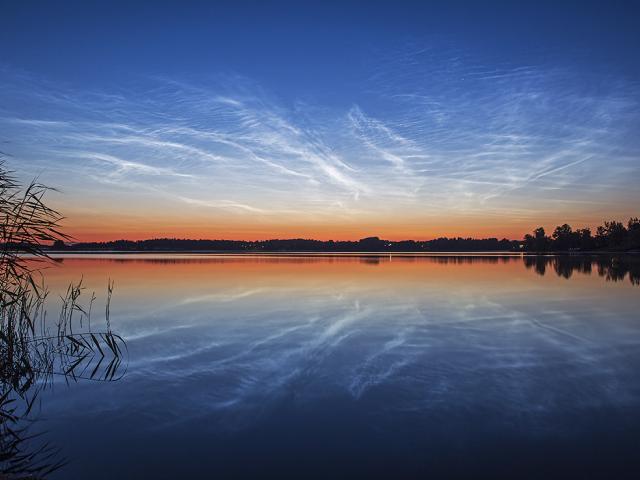 The Veins of Heaven