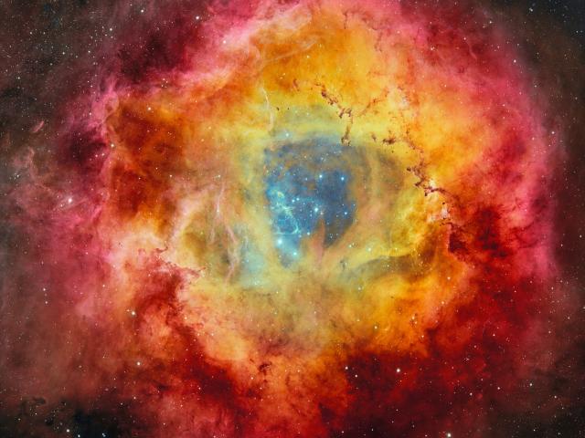 The Rosette Nebula from DECam