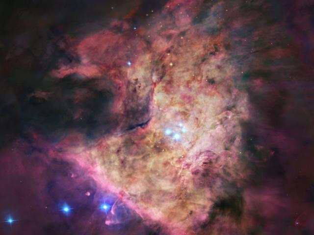 Trapezium: In the Heart of Orion