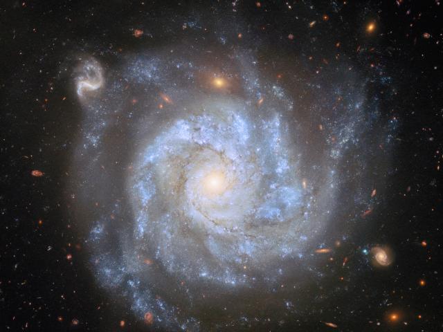 NGC 1309: A Useful Spiral Galaxy