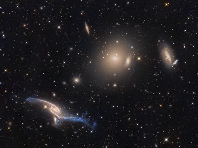 Giant Galaxies in Pavo