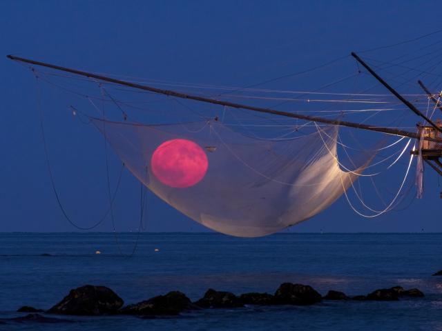 Fishing for the Moon