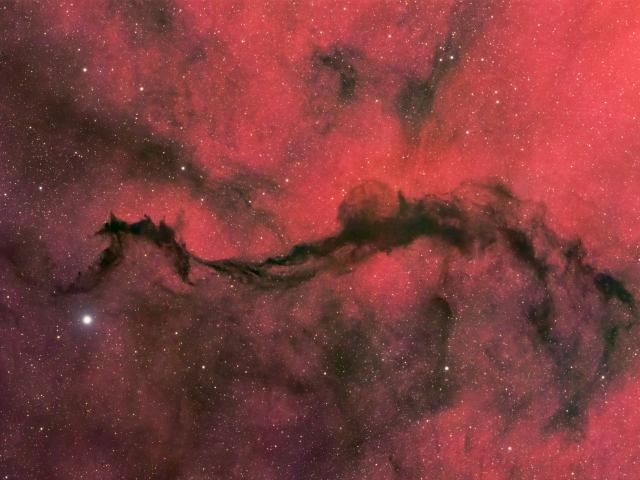 A Dark Veil in Ophiuchus
