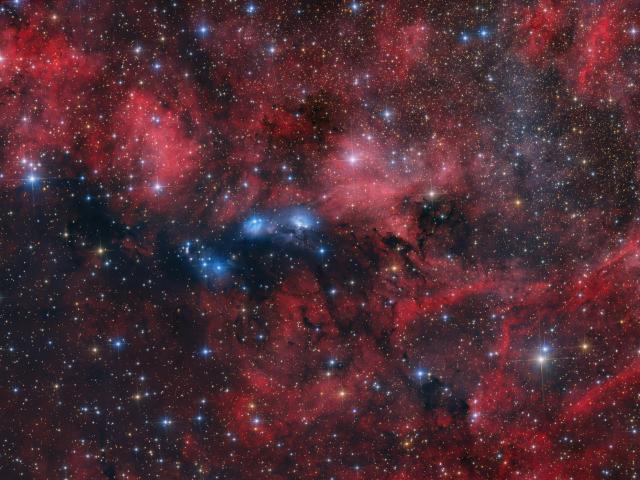The NGC 6914 Complex