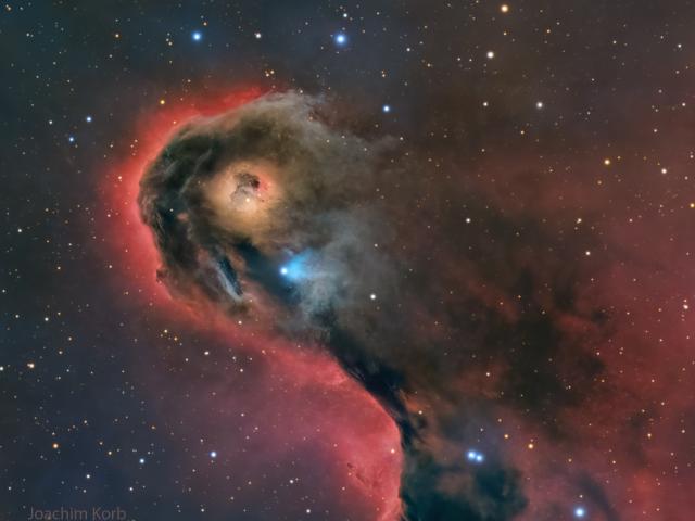 An Unusual Globule in IC 1396