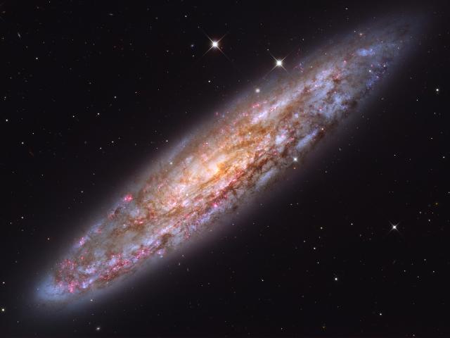 NGC 253: Dusty Island Universe