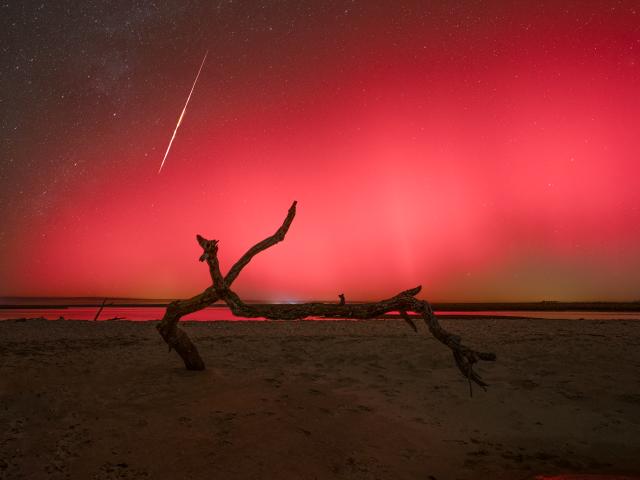 Florida Northern Lights