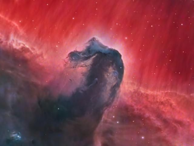 The Horsehead Nebula