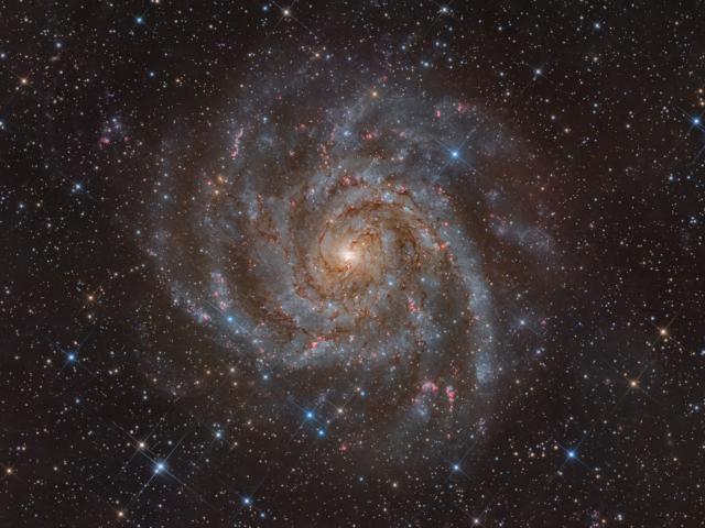 IC 342: Hidden Galaxy in Camelopardalis