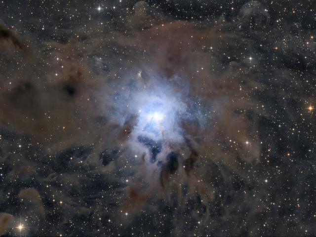 NGC 7023: The Iris Nebula