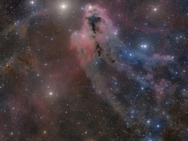 LDN 1622: Dark Nebula in Orion
