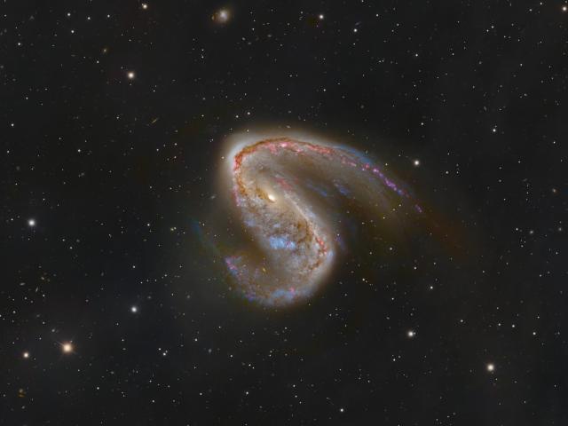NGC 2442: Galaxy in Volans