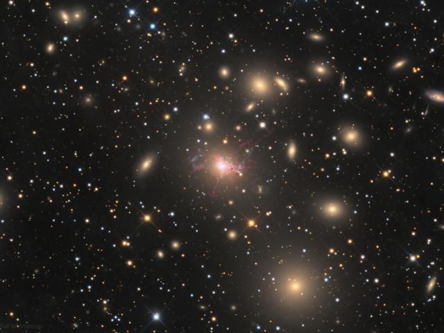NGC 1275 in the Perseus Cluster