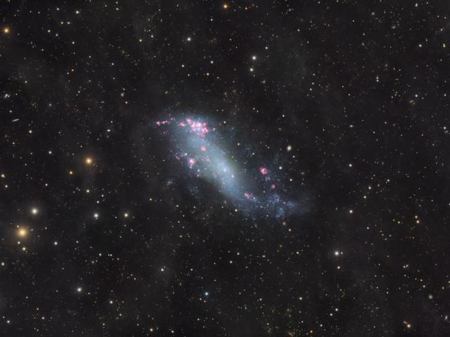 IC 2574: Coddington’s Nebula