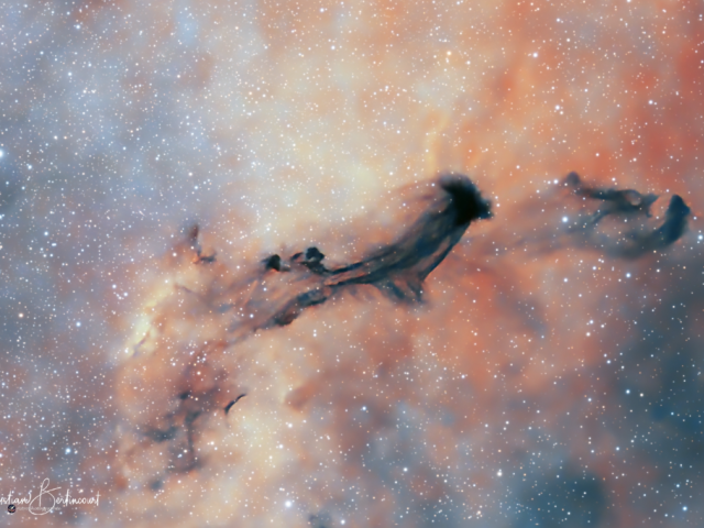 B93: A Dark Interstellar Ghost