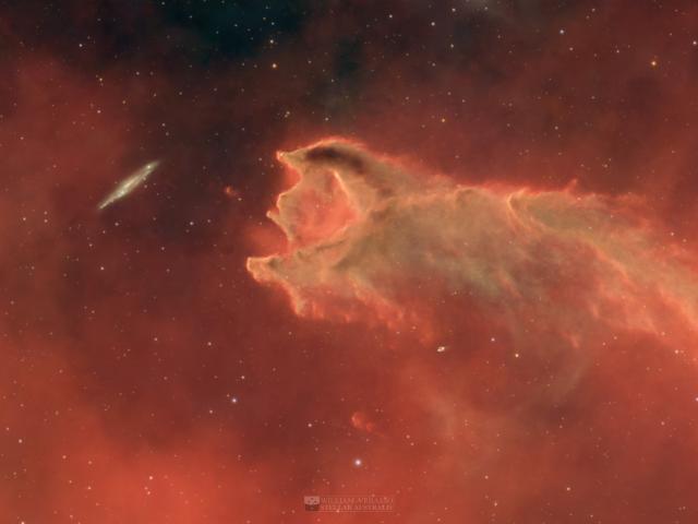 CG 4: The Globule and the Galaxy