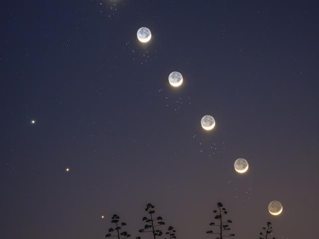 The Moon, Venus, and the Pleiades