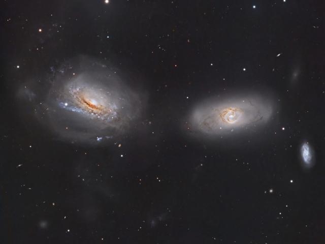 Unraveling NGC 3169
