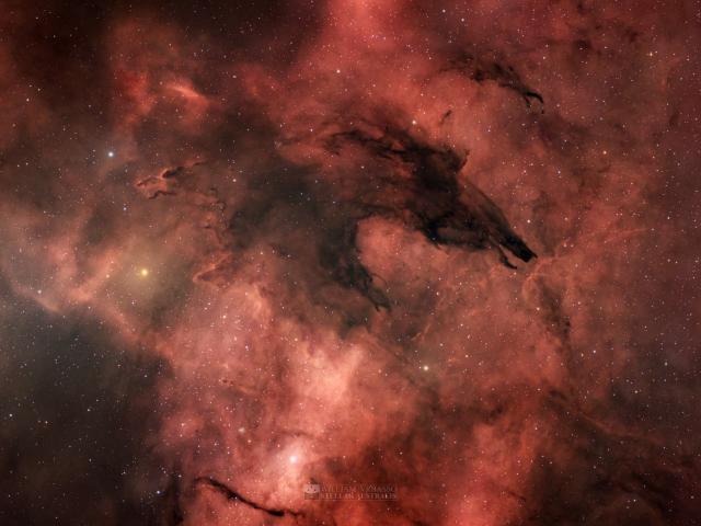 The Dark Wolf Nebula
