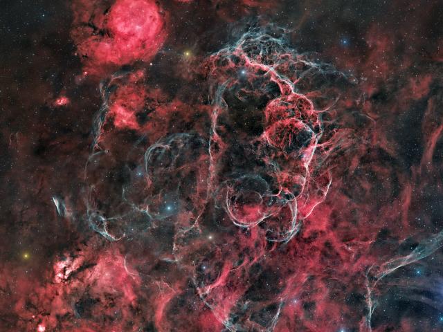 The Vela Supernova Remnant