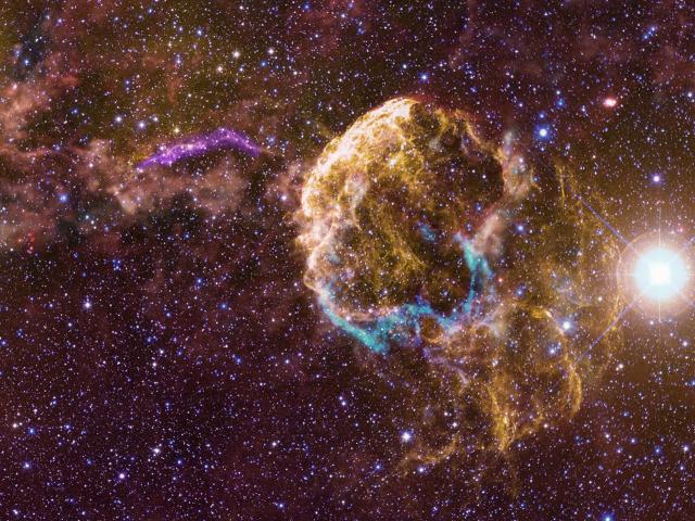 Sibling Supernova Remnants