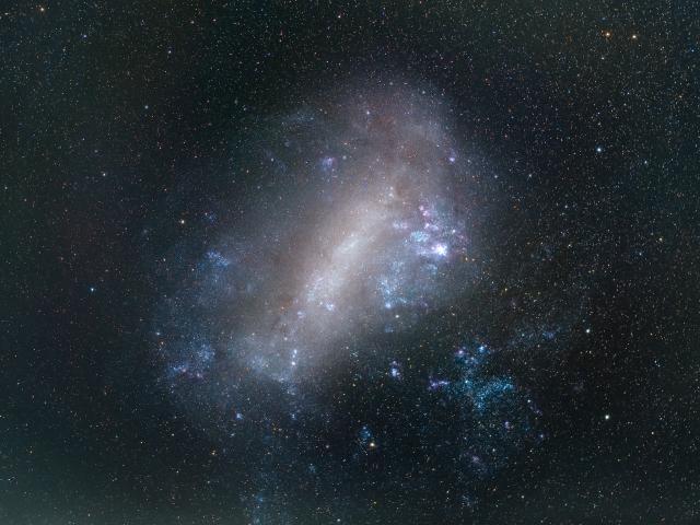 The Large Magellanic Cloud